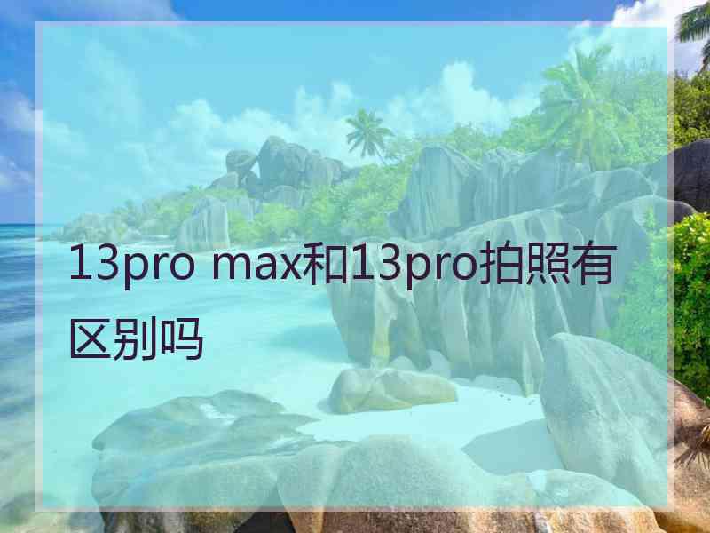 13pro max和13pro拍照有区别吗