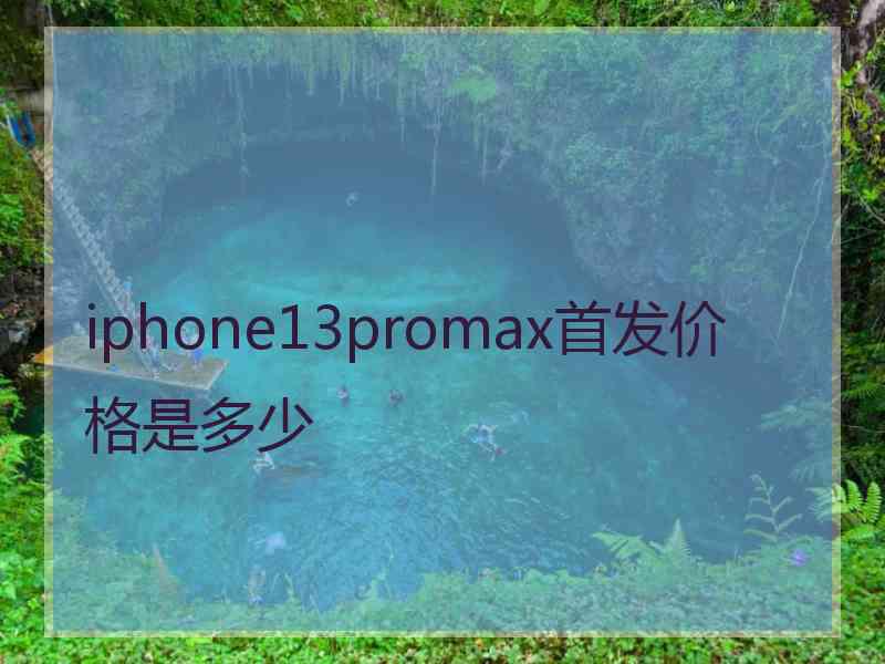 iphone13promax首发价格是多少