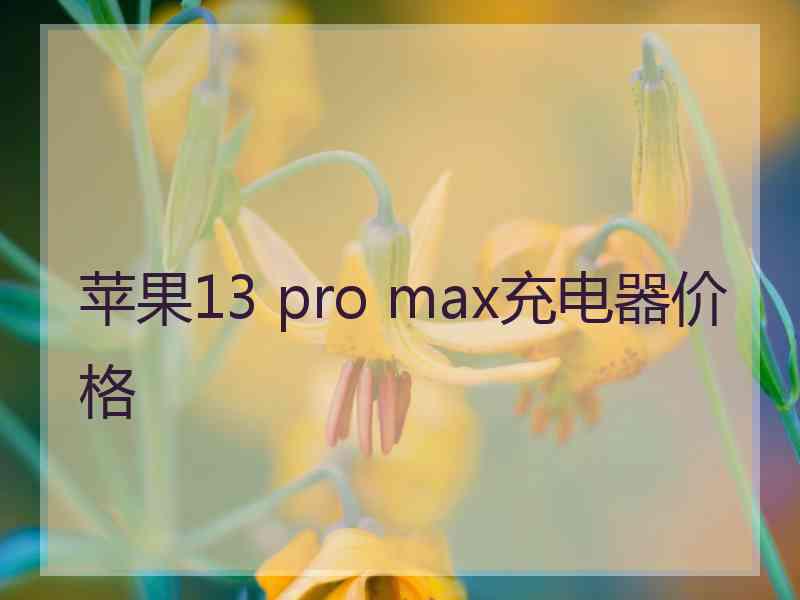 苹果13 pro max充电器价格