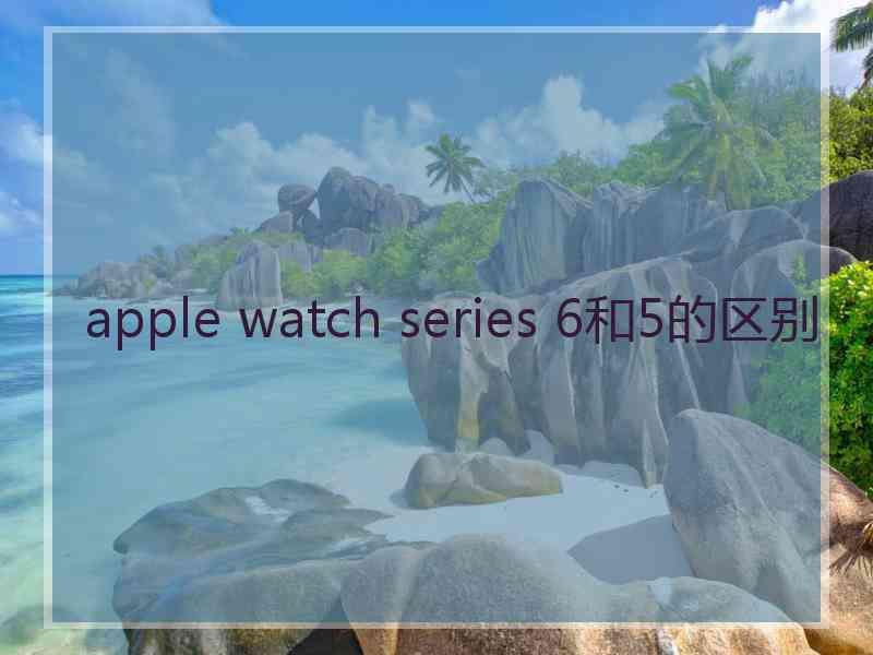 apple watch series 6和5的区别