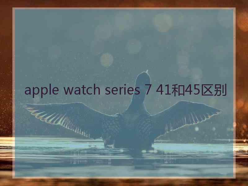 apple watch series 7 41和45区别