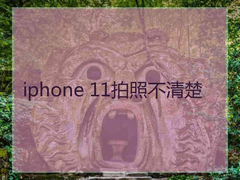 iphone 11拍照不清楚