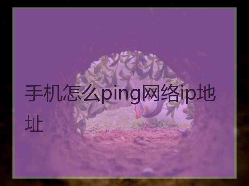 手机怎么ping网络ip地址