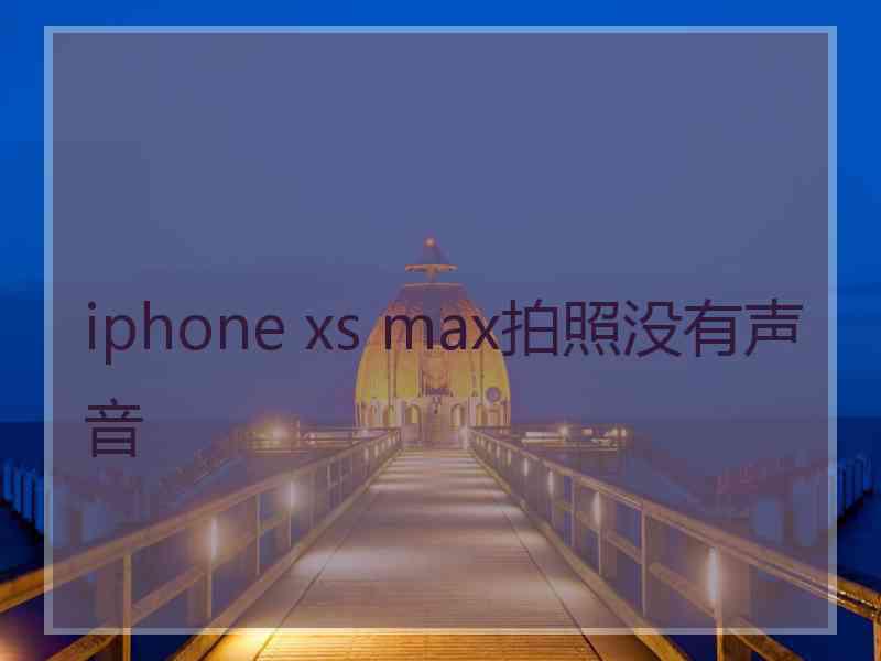 iphone xs max拍照没有声音