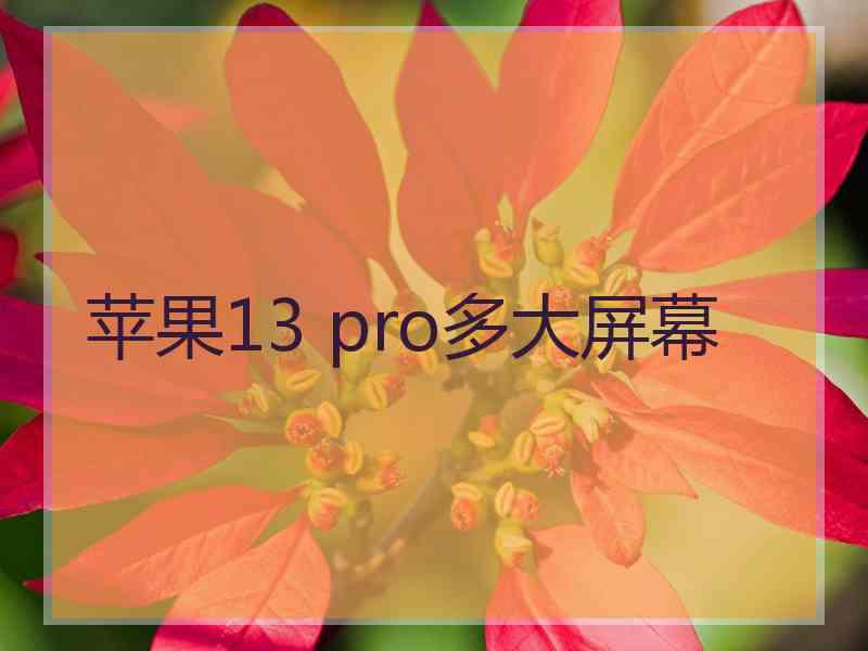 苹果13 pro多大屏幕