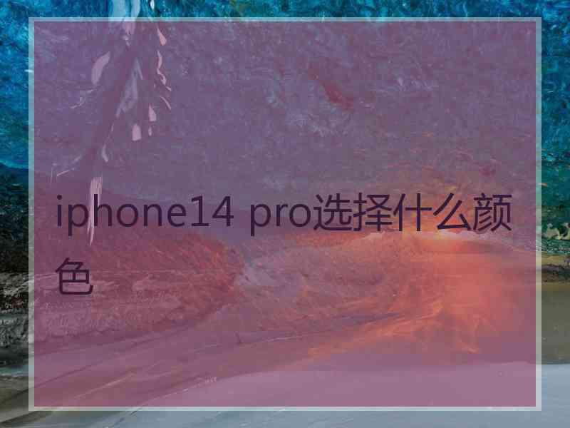 iphone14 pro选择什么颜色