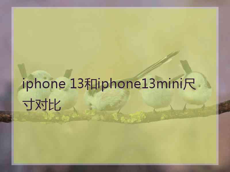 iphone 13和iphone13mini尺寸对比