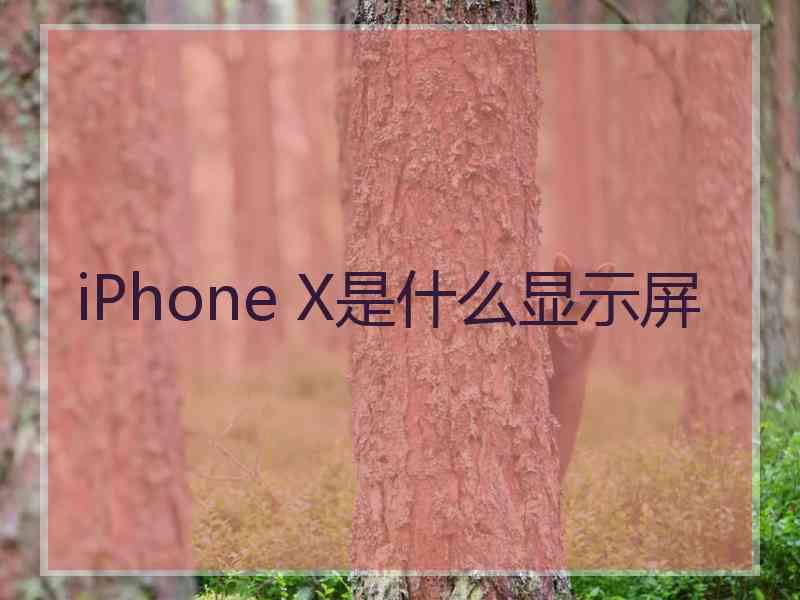 iPhone X是什么显示屏