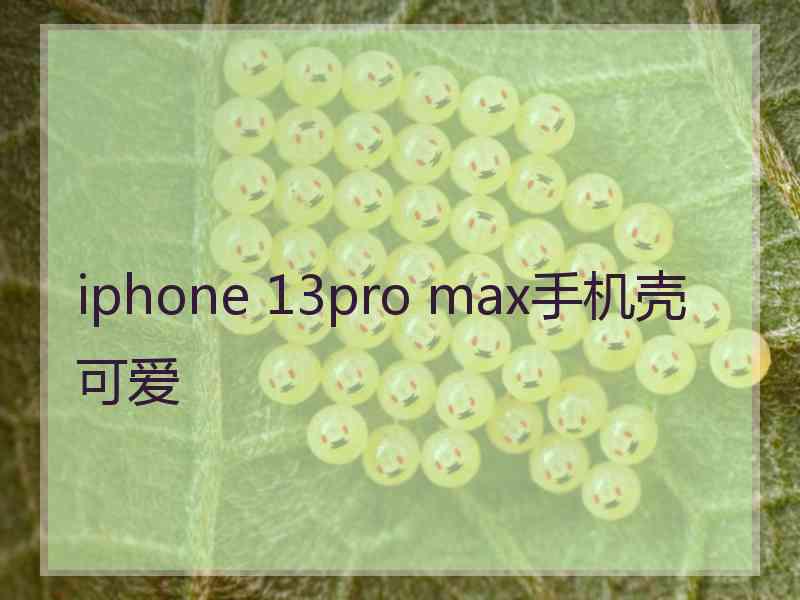 iphone 13pro max手机壳可爱