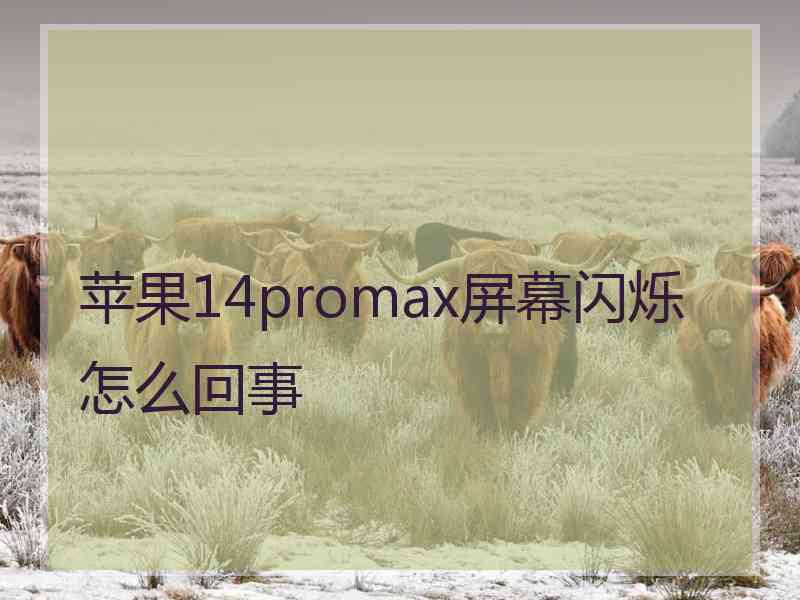 苹果14promax屏幕闪烁怎么回事