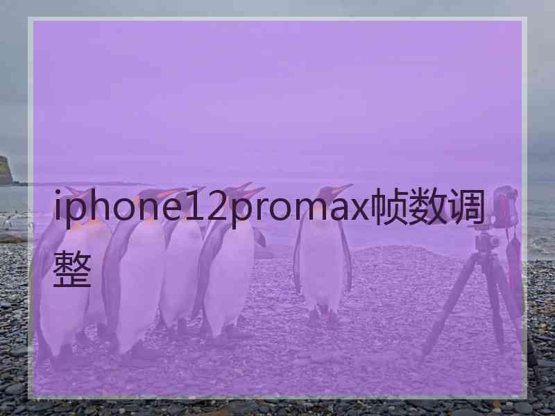 iphone12promax帧数调整