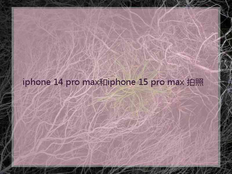 iphone 14 pro max和iphone 15 pro max 拍照