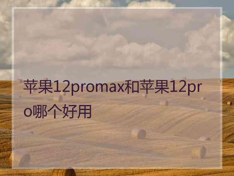 苹果12promax和苹果12pro哪个好用