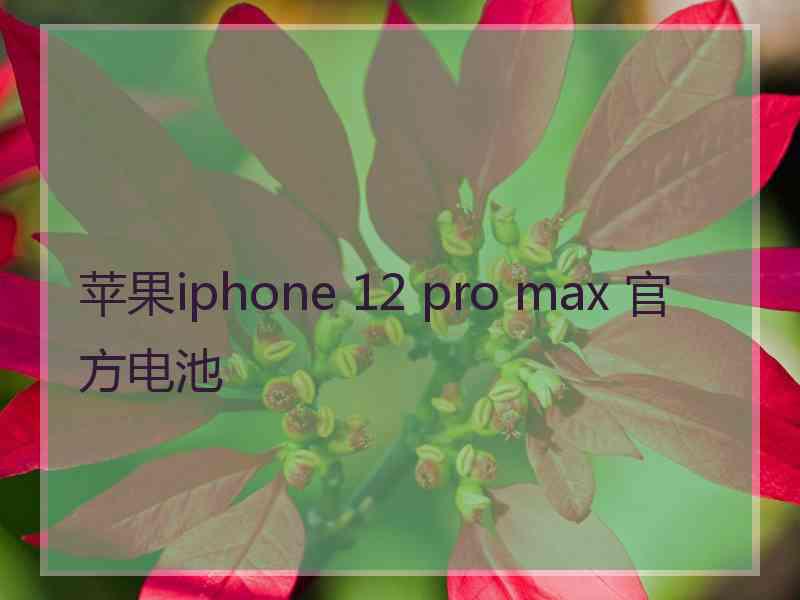 苹果iphone 12 pro max 官方电池