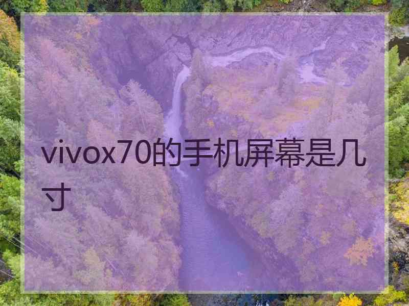 vivox70的手机屏幕是几寸