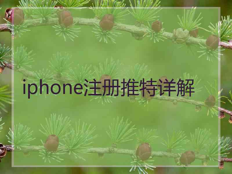 iphone注册推特详解