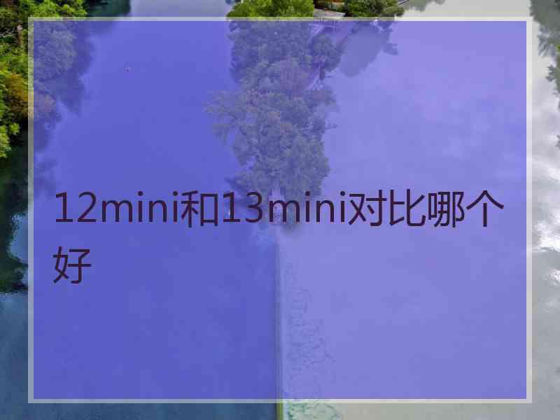 12mini和13mini对比哪个好