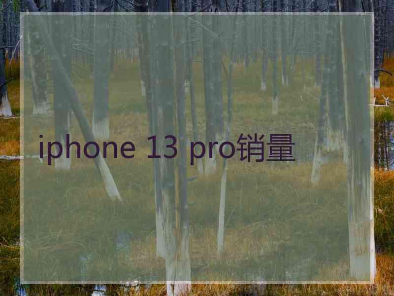 iphone 13 pro销量