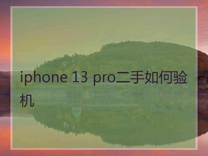 iphone 13 pro二手如何验机