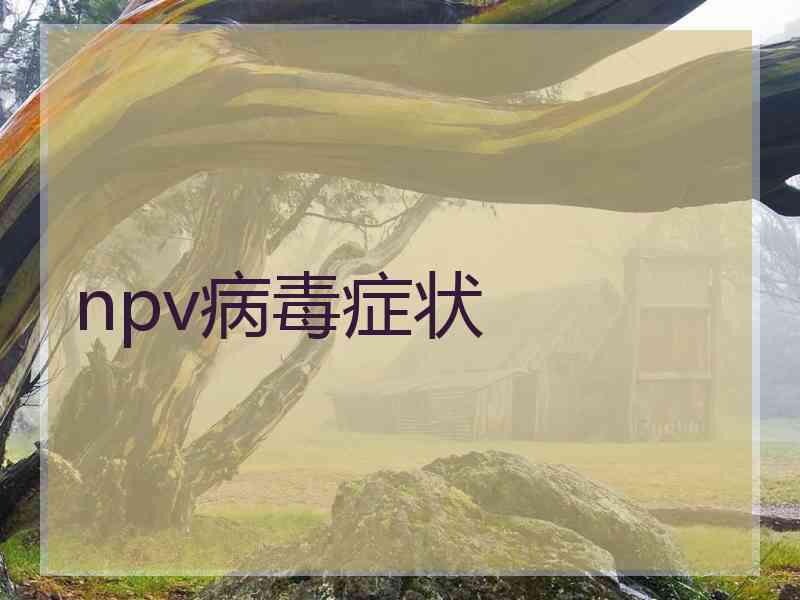 npv病毒症状