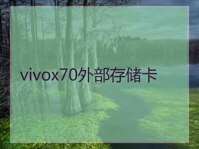 vivox70外部存储卡