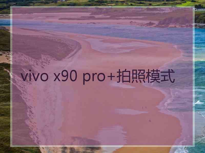 vivo x90 pro+拍照模式