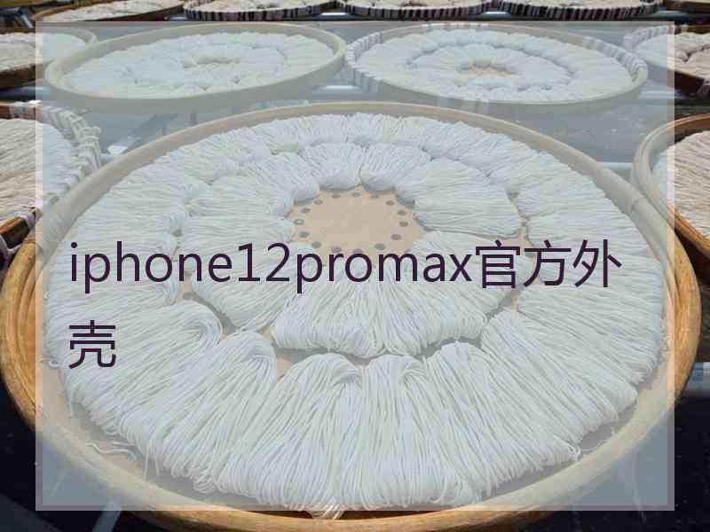 iphone12promax官方外壳