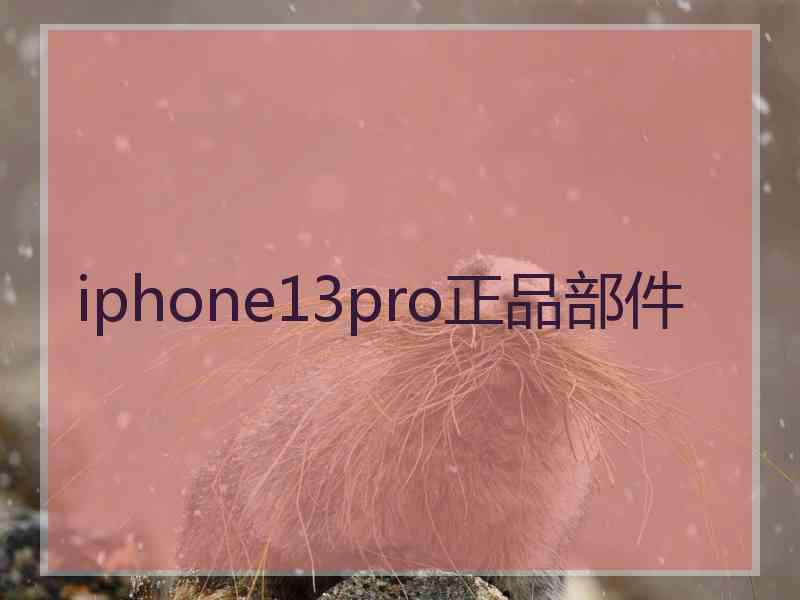 iphone13pro正品部件