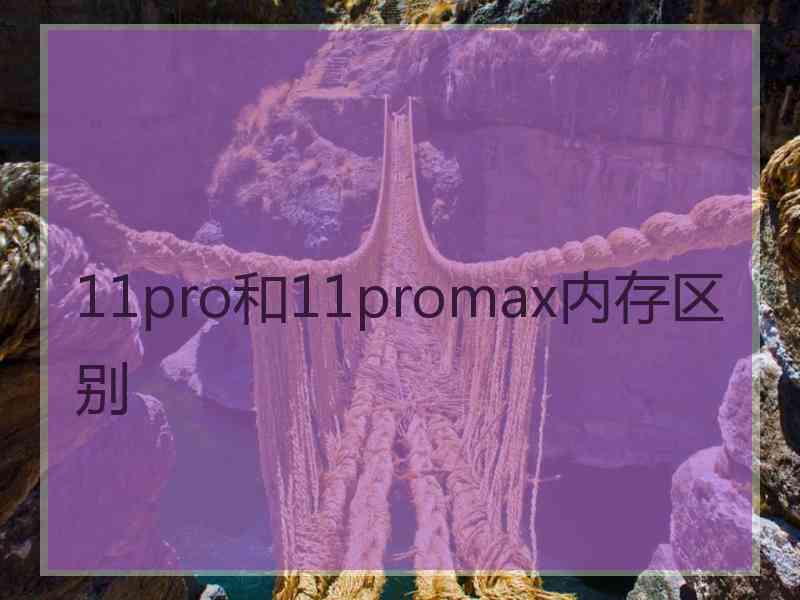 11pro和11promax内存区别