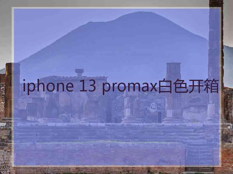 iphone 13 promax白色开箱