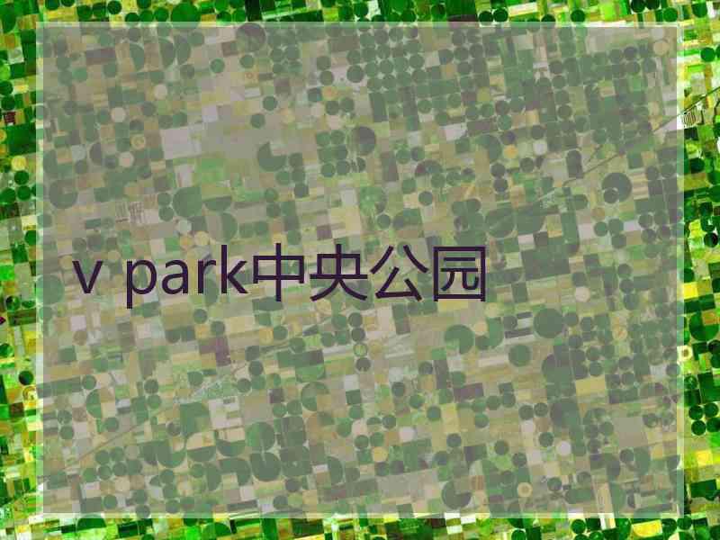 v park中央公园