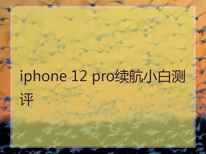 iphone 12 pro续航小白测评