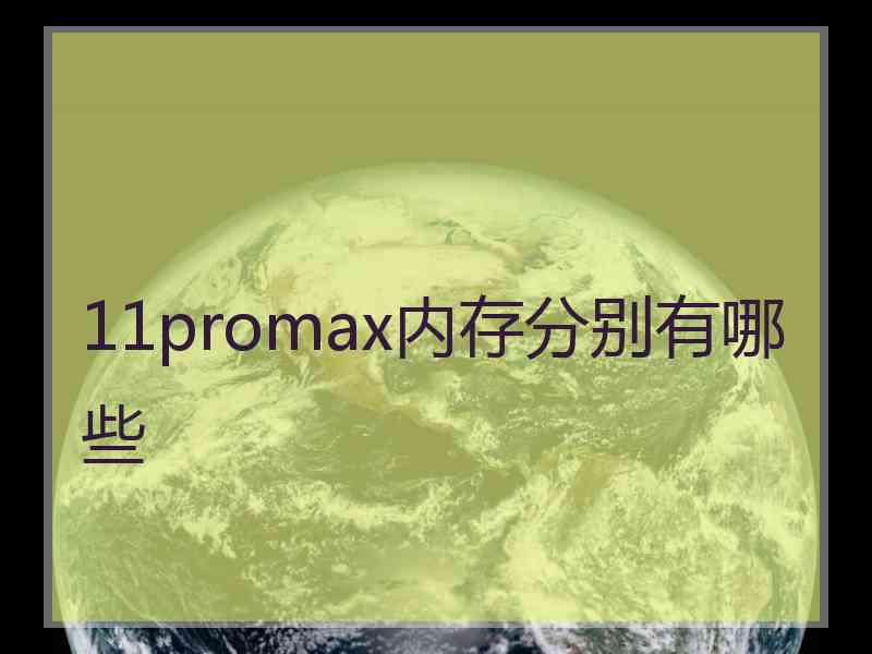 11promax内存分别有哪些