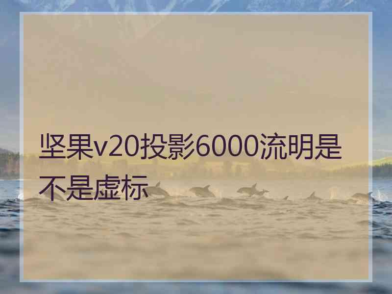 坚果v20投影6000流明是不是虚标