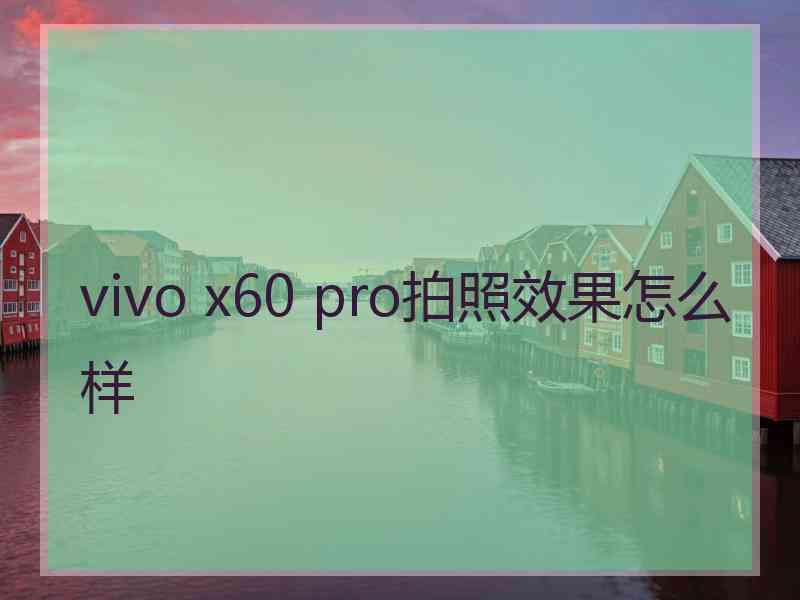 vivo x60 pro拍照效果怎么样