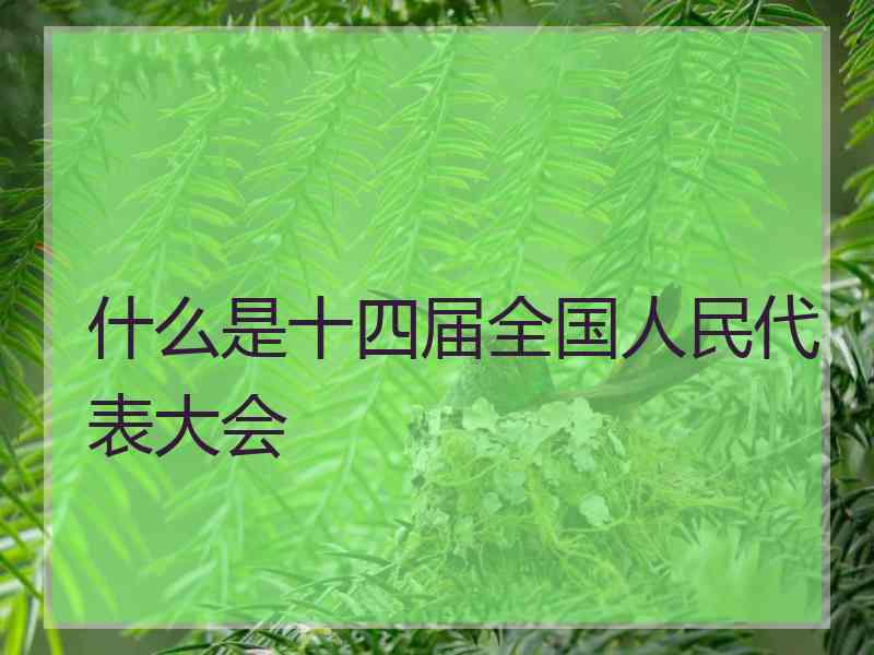 什么是十四届全国人民代表大会