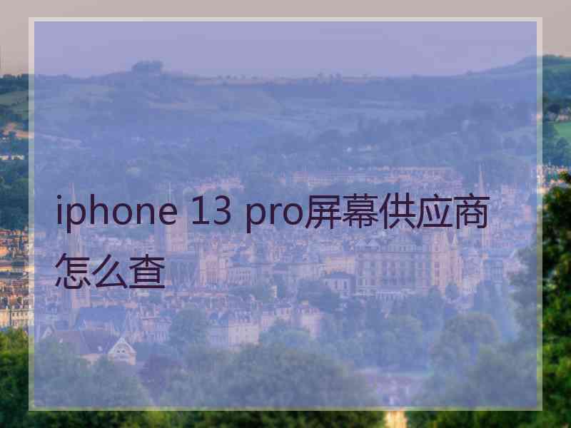 iphone 13 pro屏幕供应商怎么查