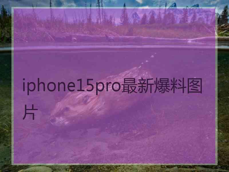 iphone15pro最新爆料图片