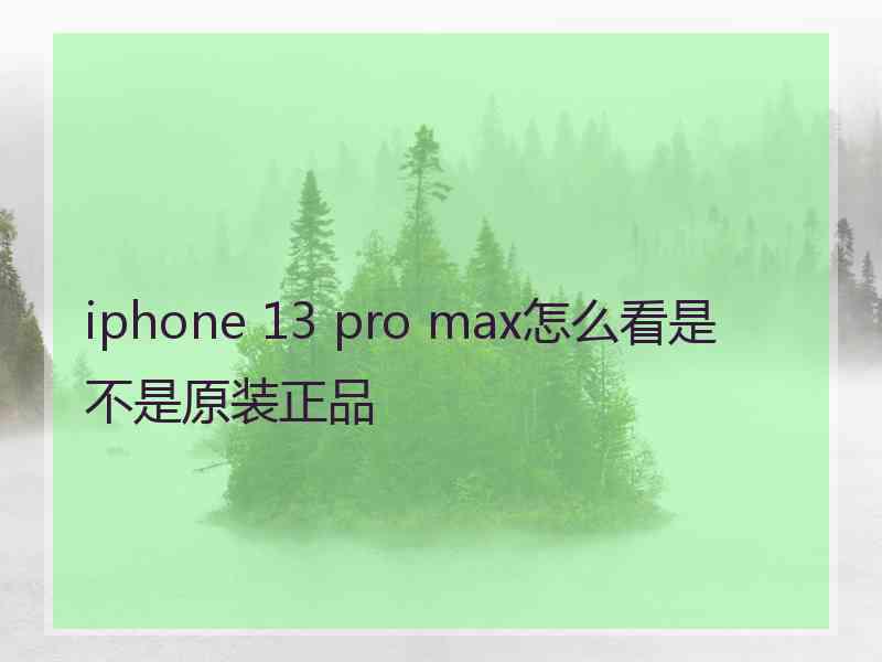 iphone 13 pro max怎么看是不是原装正品