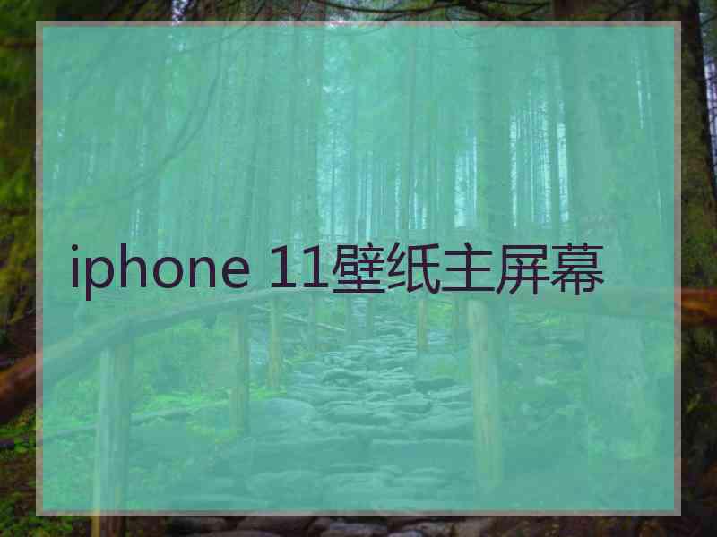 iphone 11壁纸主屏幕