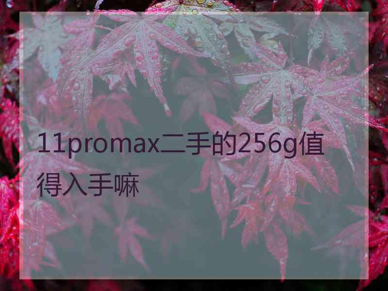 11promax二手的256g值得入手嘛