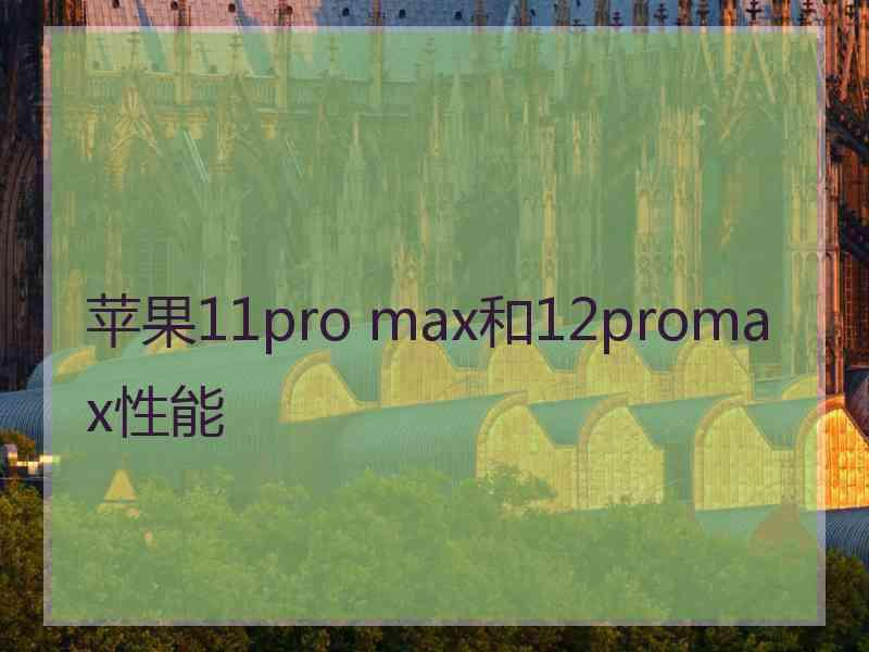 苹果11pro max和12promax性能