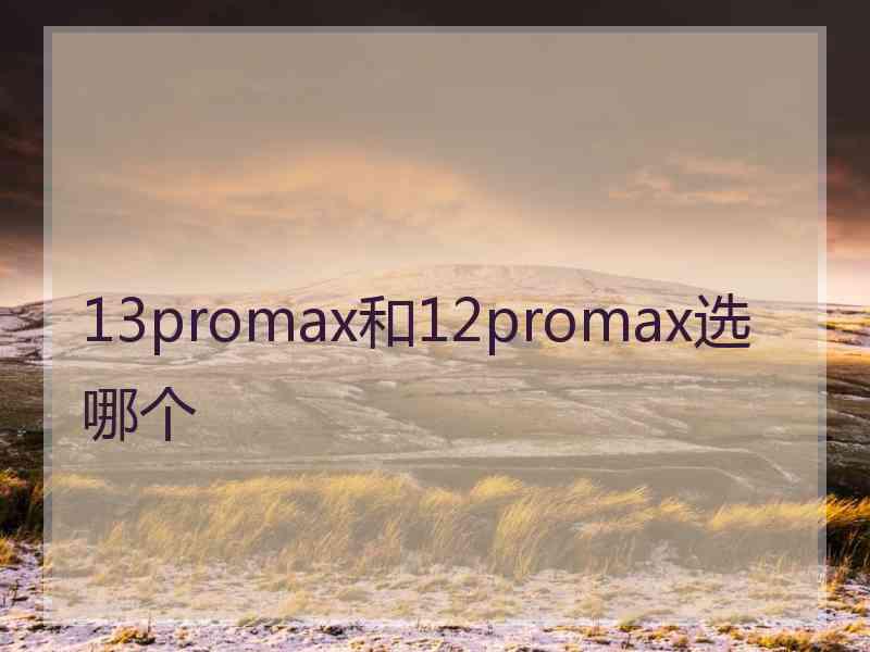 13promax和12promax选哪个