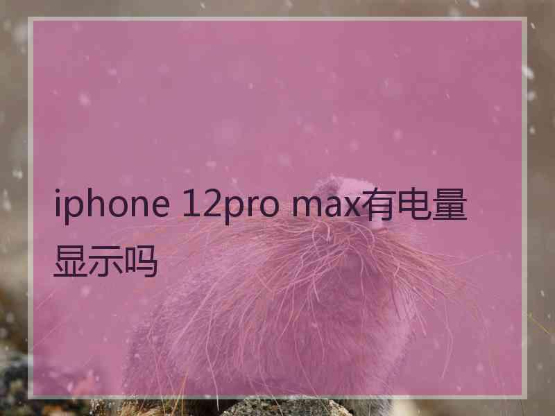 iphone 12pro max有电量显示吗