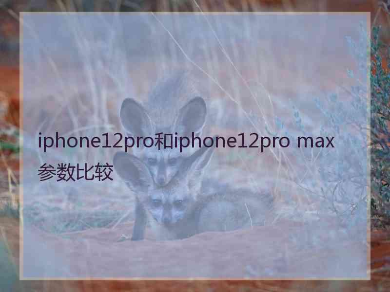 iphone12pro和iphone12pro max参数比较