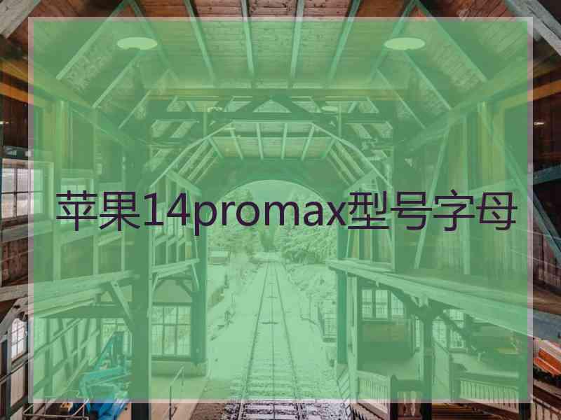 苹果14promax型号字母