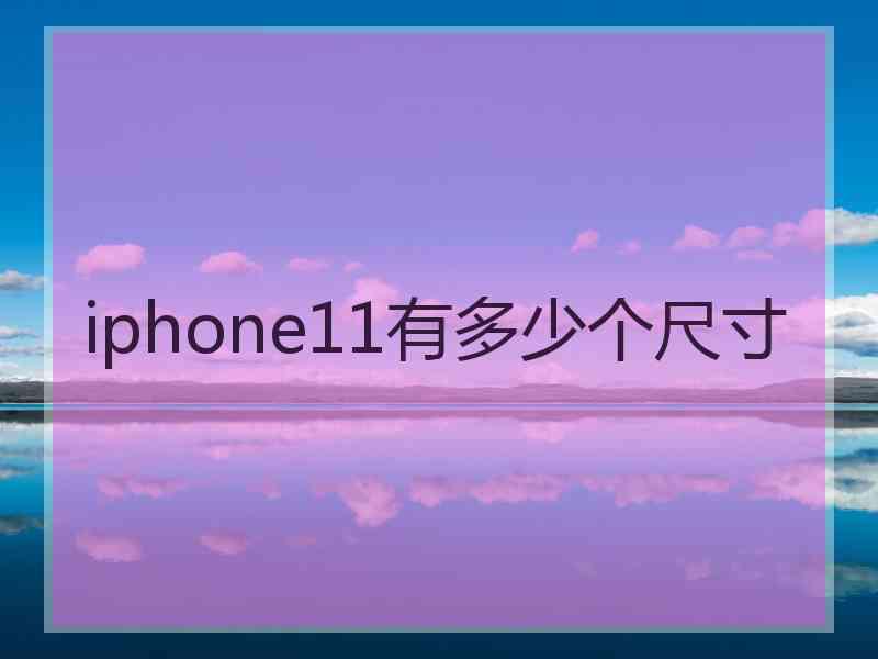 iphone11有多少个尺寸