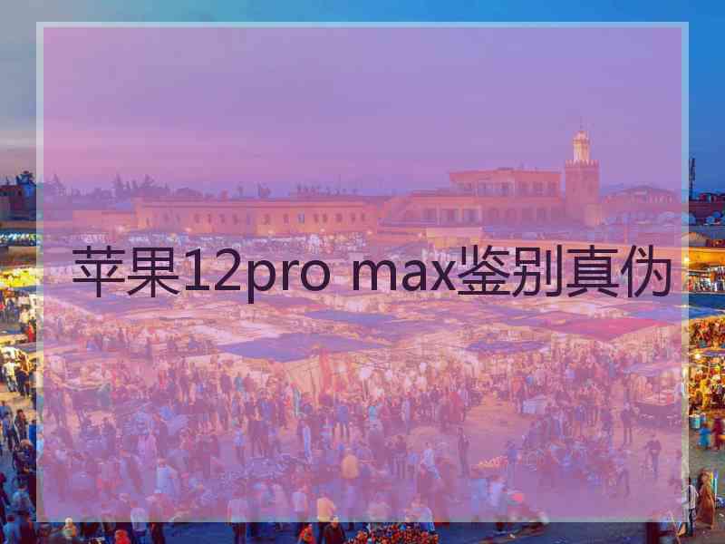 苹果12pro max鉴别真伪