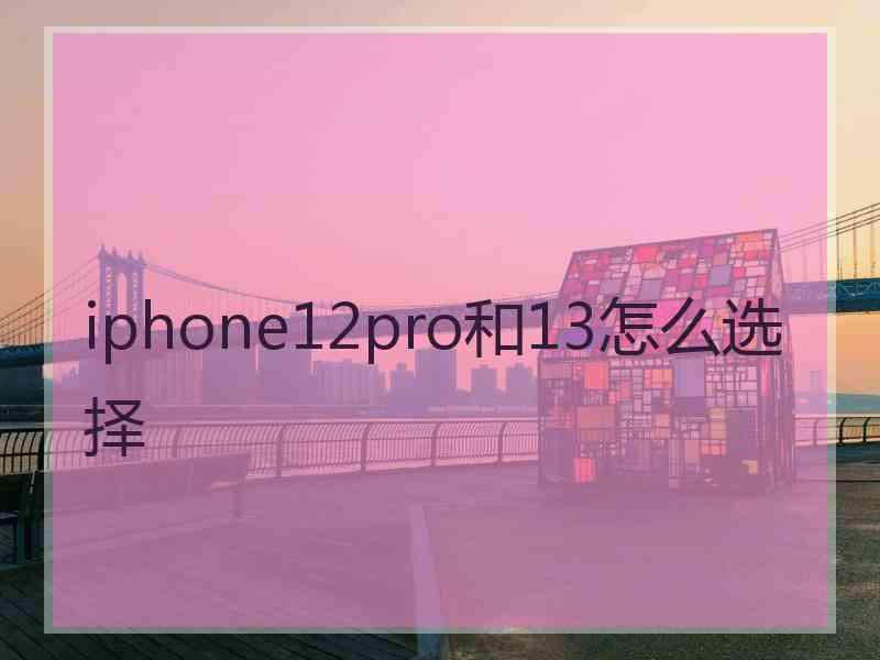 iphone12pro和13怎么选择