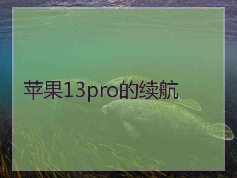 苹果13pro的续航